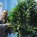 ���� �������, ��������� - ��������� 29 ������ 2017 � ������ ���� ����������