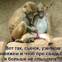 ,  -  19  2016         
