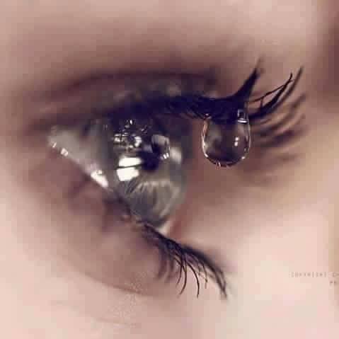,   -   ....
