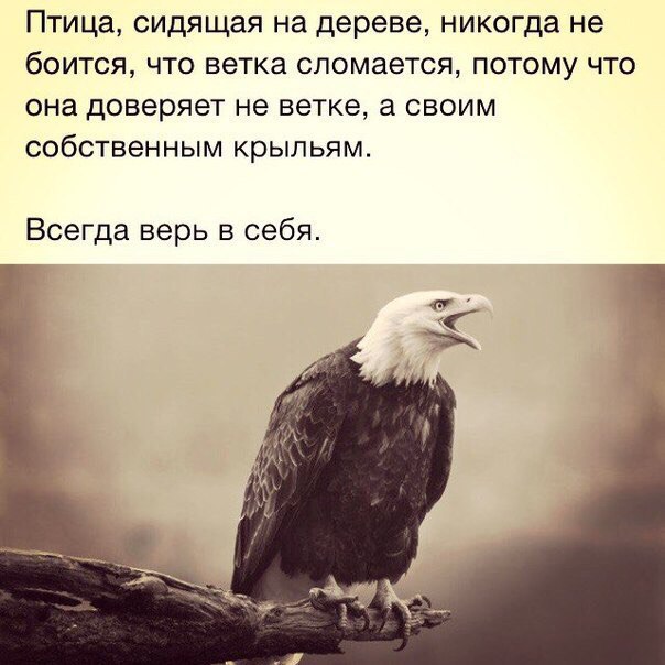 BEST | , ,  - 2  2017  13:53
