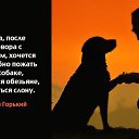  ,  -  9  2016    