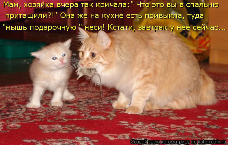  - 20  2016  16:50
