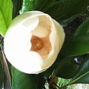 ���� ������, ���������� ����� - ��������� 27 ������ 2016 � ������ ������ ��������