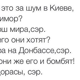 �����, ���������, 40 ���