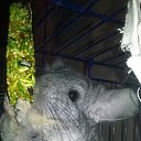 ���� �������, ������, 50 ��� - ��������� 8 ������� 2016 � ������ ����������