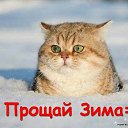 ���� ������������, ��� - ��������� 28 ������� 2017 � ������ ������ ��������