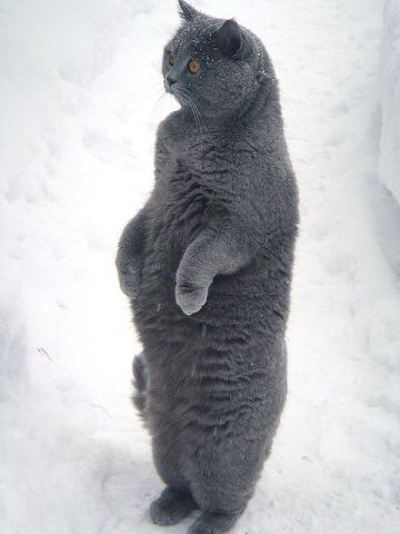      ?! - 2