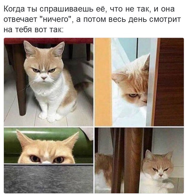  - 10  2017  18:44