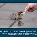 ���� Konstantine, ���������, 42 ���� - ��������� 4 ������� 2016 � ������ ������ ��������