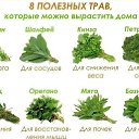 ���� ��������, ���������� - ��������� 22 �������� 2016 � ������ ������ ��������