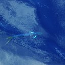 �������� ���� ��������� �� ������� ���� ����������