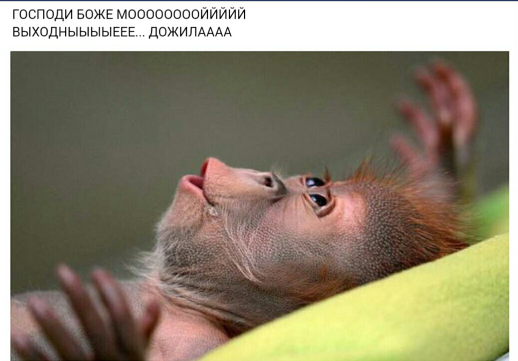   ... - 25  2017  21:43