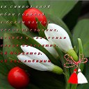 ���� ����, ��������, 49 ��� - ��������� 10 ����� 2017 � ������ ������ ��������