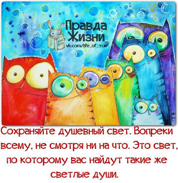  - 15  2016  12:45
