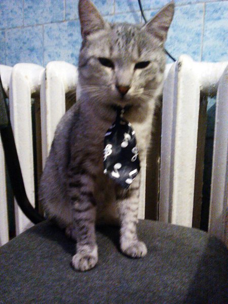 #_.,  .        .   ...