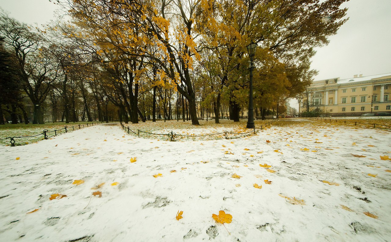 Первый осенний холод. Первый снег. Первый снег в городе. Снежная осень в городе. Осень снег город.