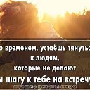 ���� ���, ������, 54 ���� - ��������� 13 ������� 2017 � ������ ������ ��������