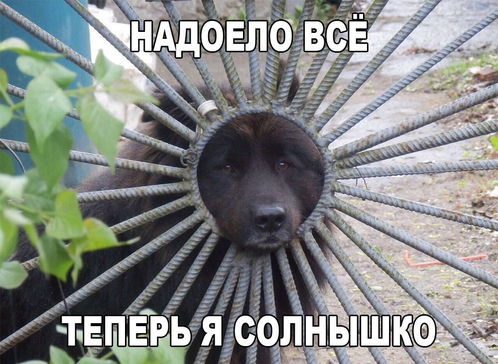    :D - 30  2016  19:36