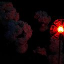 ���� �������, ������, 51 ��� - ��������� 11 ������� 2016 � ������ ����� 2016�