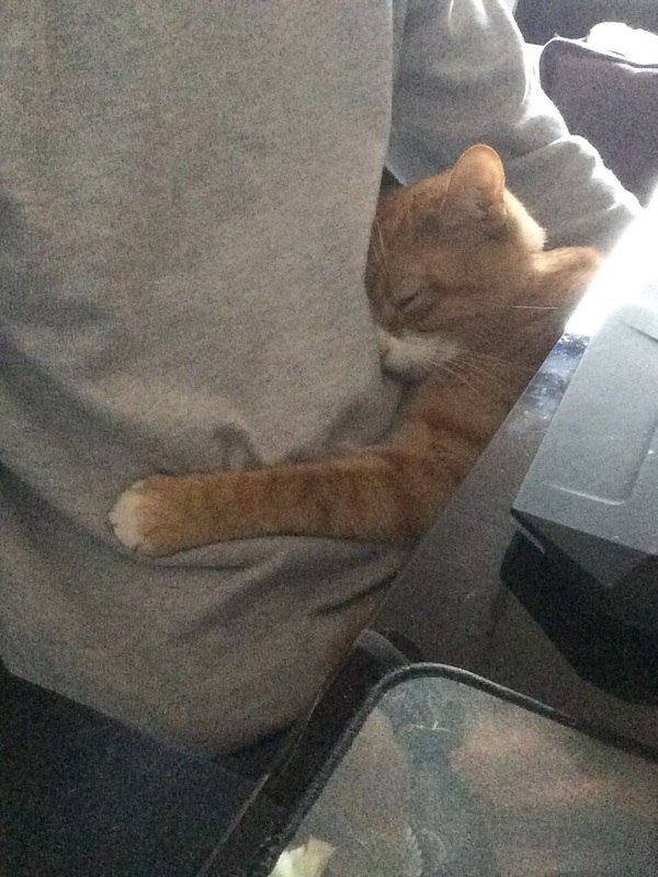  ,  )