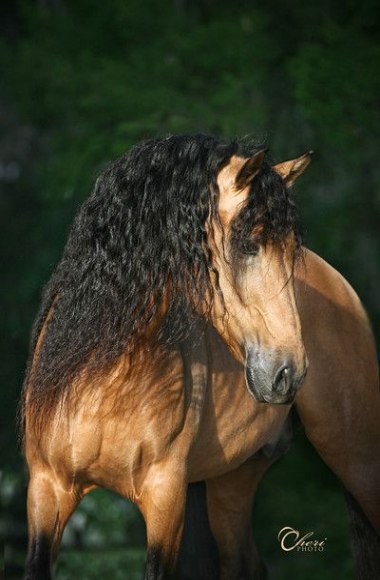  -  - 30  2016  14:26