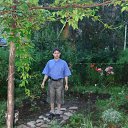 ���� ������, ���������, 37 ��� - ��������� 30 ����� 2017 � ������ ������������