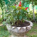 ���� Inga, ����������� - ��������� 30 ������ 2016 � ������ ���� ����������