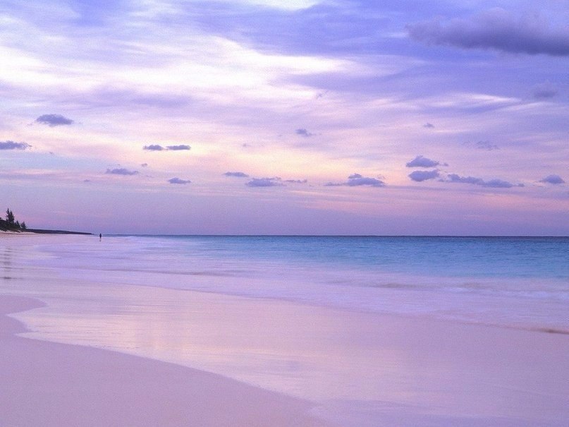      : Pink Sands Beach,  ,  .  ,  ... - 5