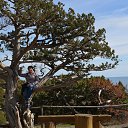 ���� �� ������� ���� ����������