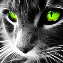 ���� ��������, ���������, 56 ��� - ��������� 26 ������� 2017 � ������ ���� ����������