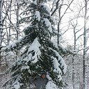 ���� Zoya Vavilova, ����������, 68 ��� - ��������� 15 ������ 2017 � ������ ���� ����������