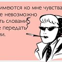 ���� �����, ������, 33 ���� - ��������� 3 ������ 2017 � ������ ������ ��������