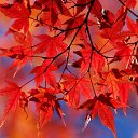 ���� �������, ������� - ��������� 25 �������� 2016 � ������ ���� ����������