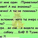  , , 55  -  17  2017   ...