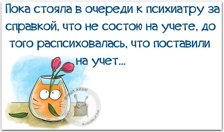 Пока не стоит. Высказывания о психиатрах. Цитаты про психиатрию. Цитаты психиатров. Прикольные фразы психиатра.