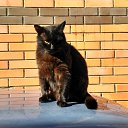 ���� Bob, ��������������, 45 ��� - ��������� 23 ������ 2017 � ������ ���� ����������