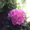 ���� �����, ������, 76 ��� - ��������� 15 ����� 2017 � ������ ������ ��������