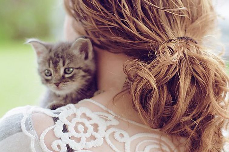 Приручи меня, словно кошку. Я не дикая, я - ручная. Со мной будет немного сложно, Но я знаю дорогу ...