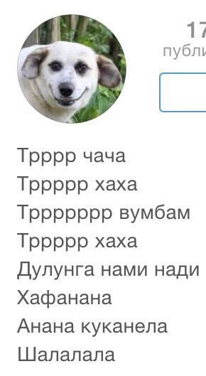  - 20  2016  19:47