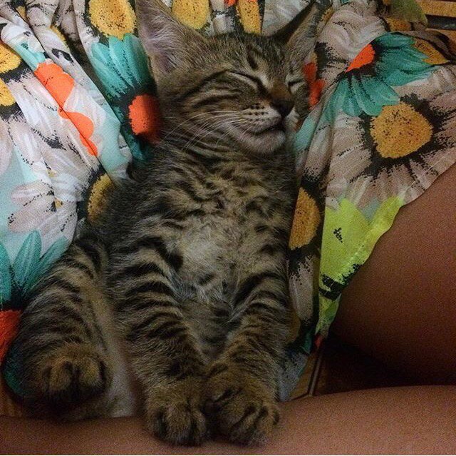  -  - 15  2017  14:24