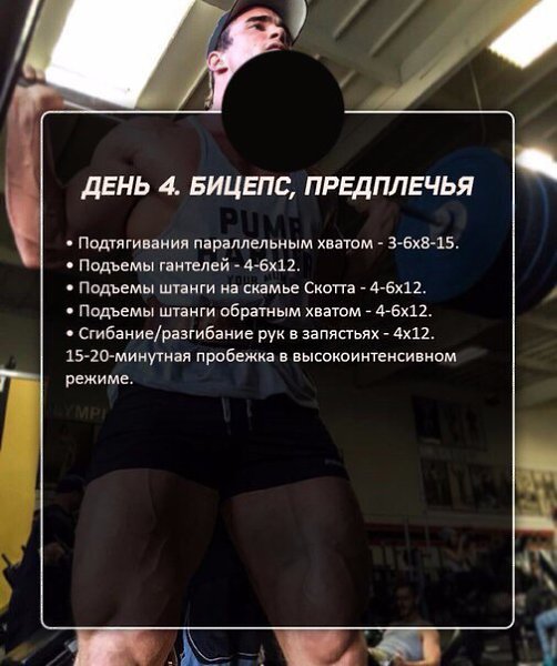 Пятидневный сплит на массу.Пятидневная программа, как и четырех дневная, не имеет определенной ... - 3