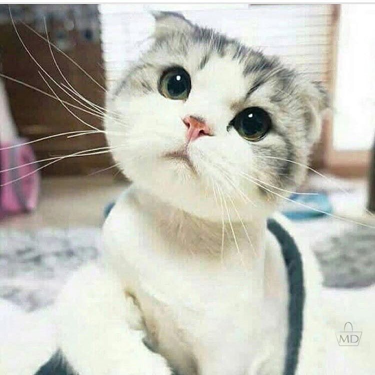 ,      ?