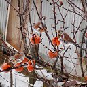 21.02.2017 �� ������� ������� ��������)))�