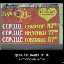 ���� �����, �����-��������� - ��������� 14 ������� 2017 � ������ ������ ��������