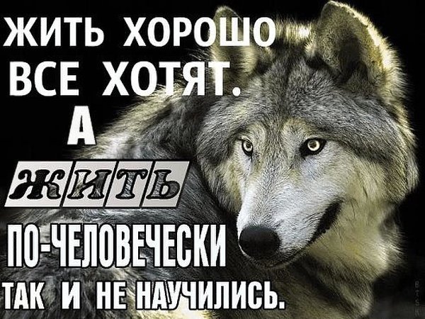  - 4  2016  17:17