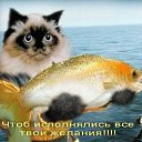 ���� ������, ������, 62 ���� - ��������� 8 ������� 2016 � ������ ���� ����������