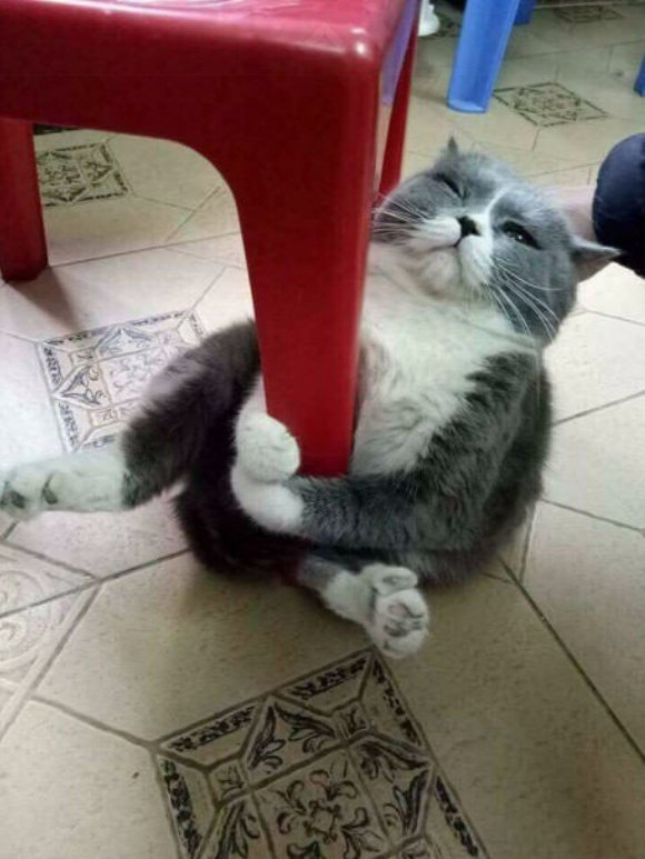    ,   ...