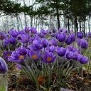 ���� �������, ���� - ��������� 21 ����� 2017 � ������ ���� ����������