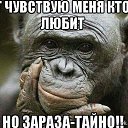 ���� �������, ���������, 59 ��� - ��������� 21 ������� 2016 � ������ ������ ��������