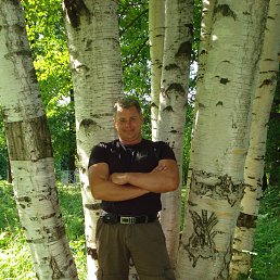 ���� �����, ���������, 63 ���� - ��������� 6 ������ 2017